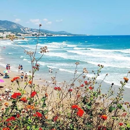 Villa Carmen Alcossebre Dış mekan fotoğraf