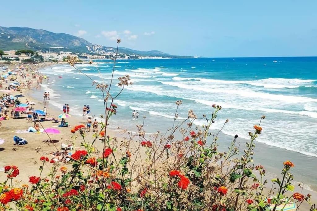 Villa Carmen Alcossebre Dış mekan fotoğraf