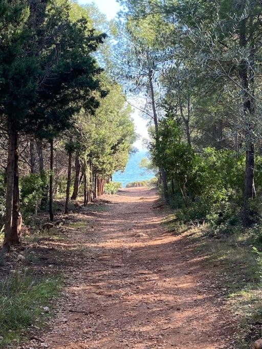 Villa Carmen Alcossebre Dış mekan fotoğraf