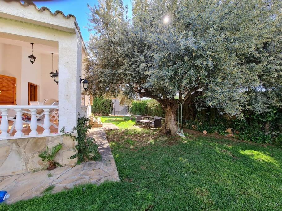 Villa Carmen Alcossebre Dış mekan fotoğraf